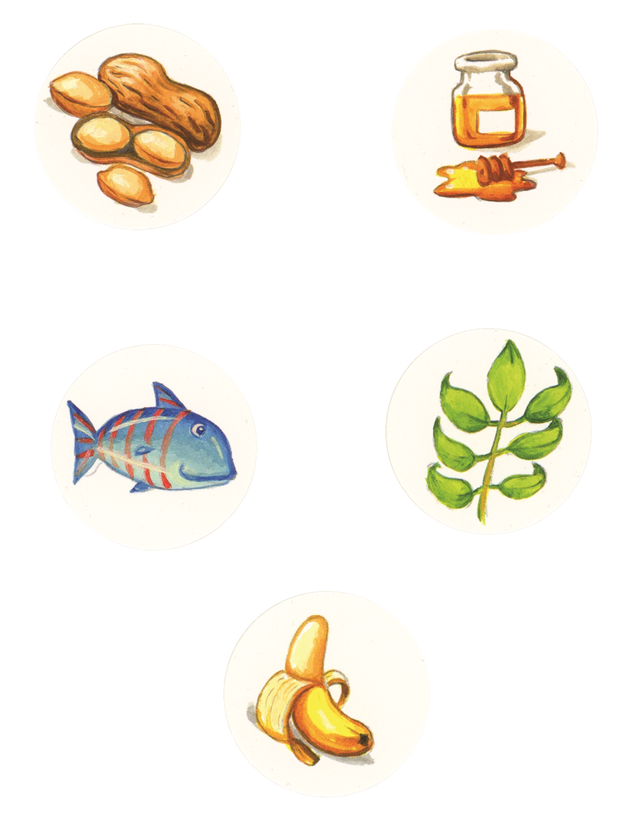 Feed the Animals Interactive Board Book for Kids