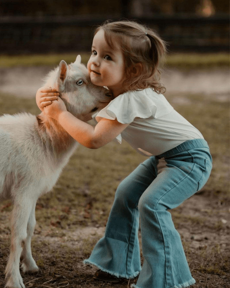 Light Wash Denim Bell Bottoms