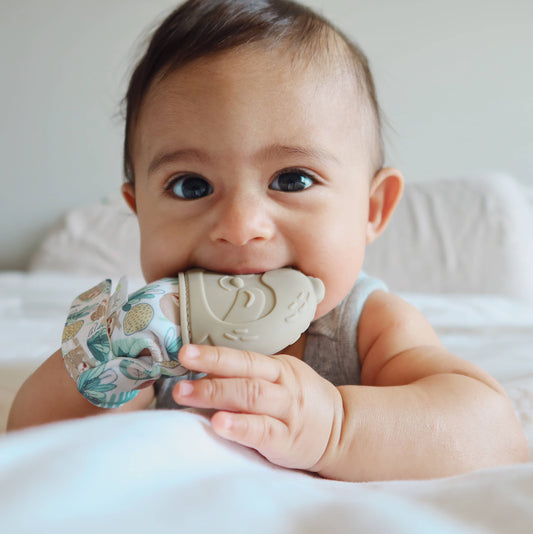 Sloth Itzy Mitt Silicone Teething Mitt