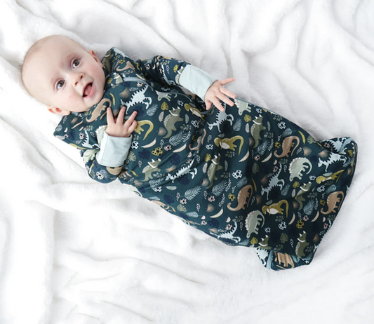 Prehistoric Friends Dinosaur Viscose Bamboo Baby Sleep Bag