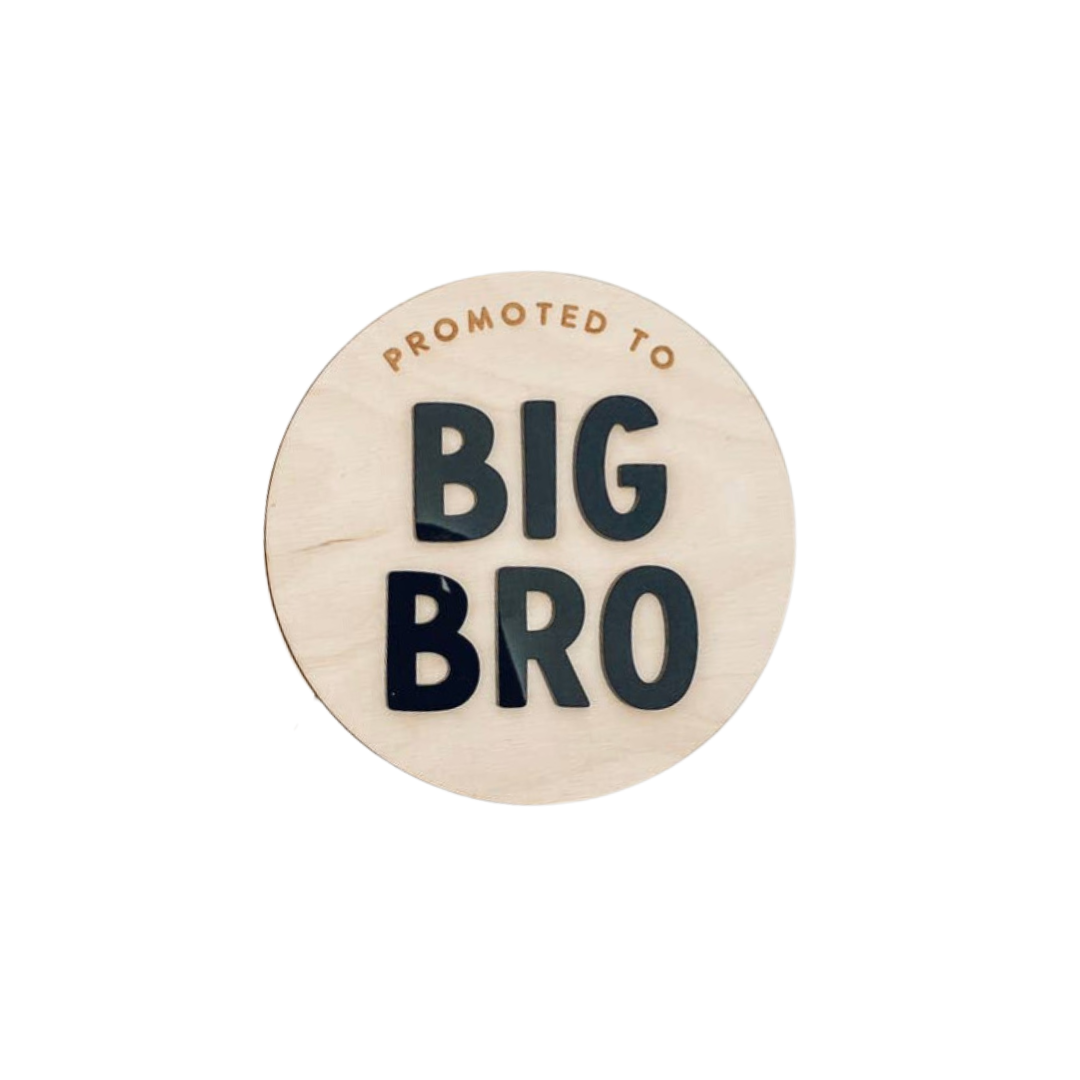 Promoted to Big Bro / Big Sis Photo Prop Signs