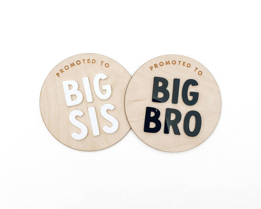 Promoted to Big Bro / Big Sis Photo Prop Signs