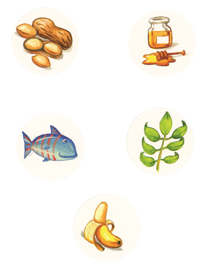 Feed the Animals Interactive Board Book for Kids