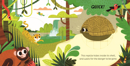 Animal Magic: In the Jungle Interactive Kid's Book