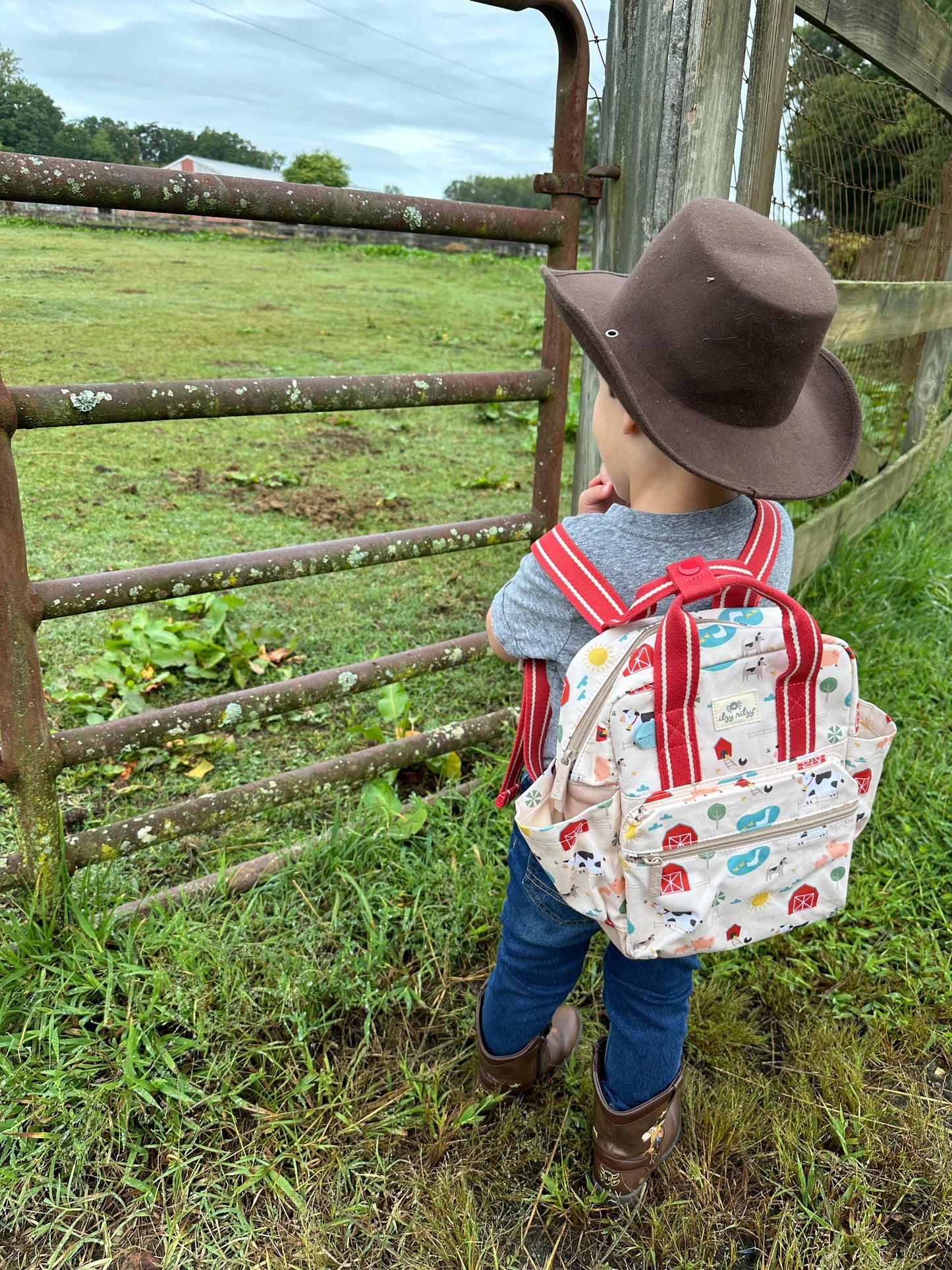 Itzy Bitzy Toddler Backpack: Strawberries & Cream