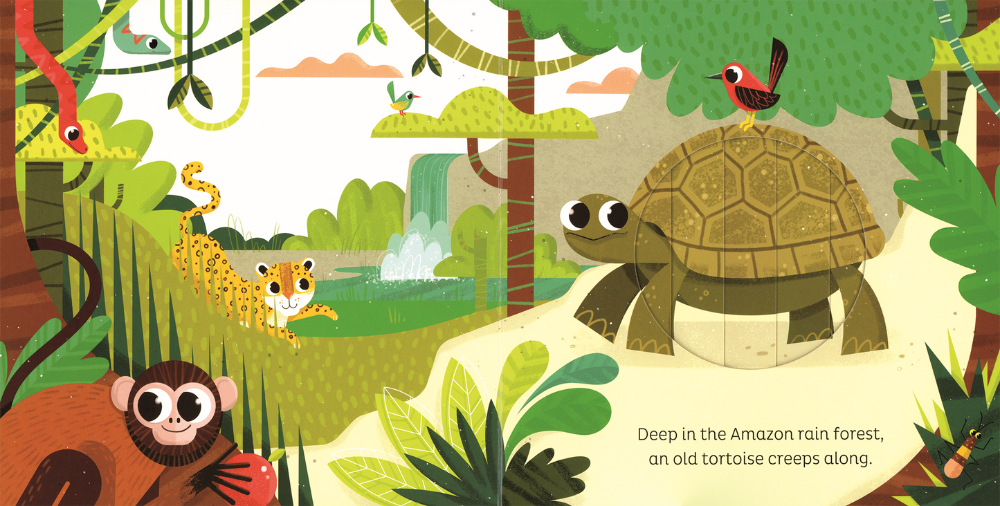 Animal Magic: In the Jungle Interactive Kid's Book