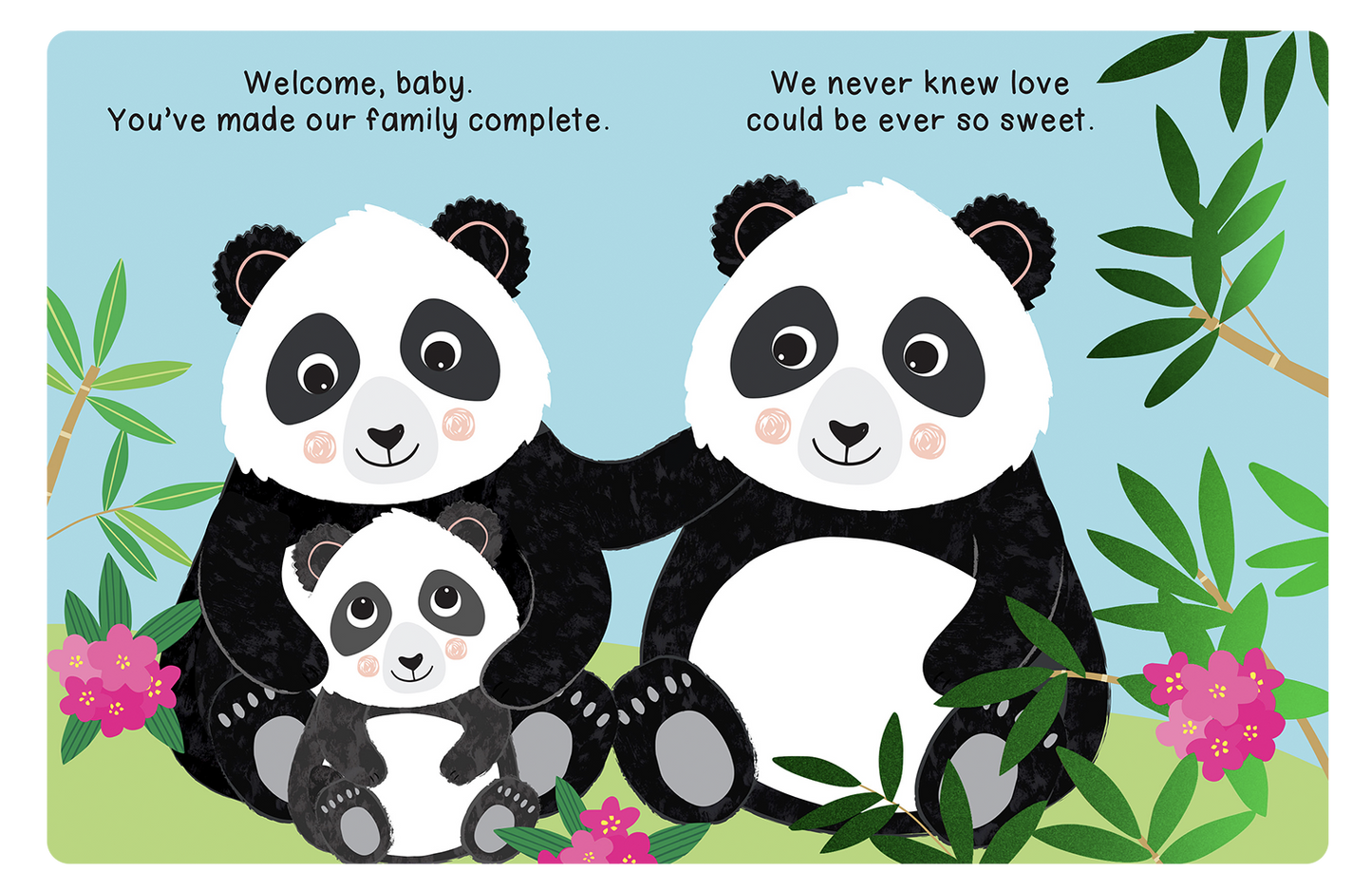 Welcome, Baby Children's Board Book